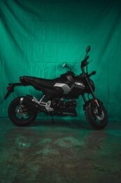 New 2025 Honda Grom