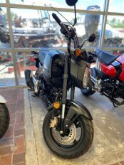 New 2025 Honda Grom