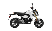 New 2025 Honda Grom