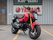 New 2025 Honda Grom