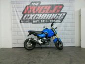 2025 Honda Grom