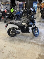 New 2025 Honda Grom