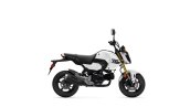 New 2025 Honda Grom