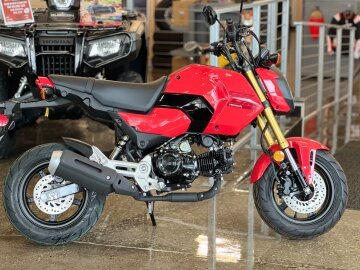 New 2025 Honda Grom
