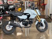 New 2025 Honda Grom