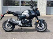 New 2025 Honda Grom