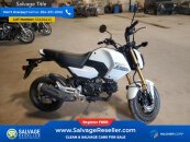 New 2025 Honda Grom