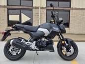 New 2025 Honda Grom