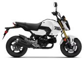 New 2025 Honda Grom