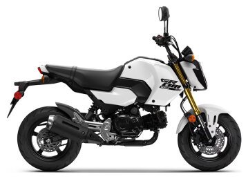 New 2025 Honda Grom