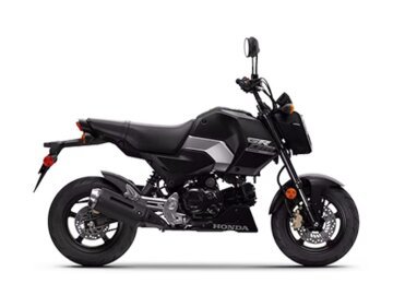 New 2025 Honda Grom