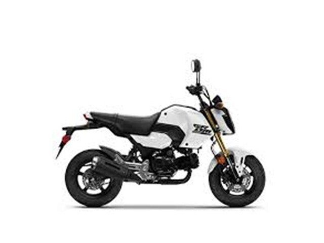 New 2025 Honda Grom