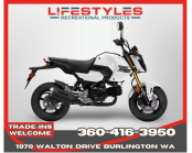 New 2025 Honda Grom