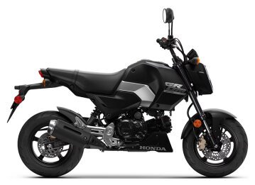 2025 Honda Grom
