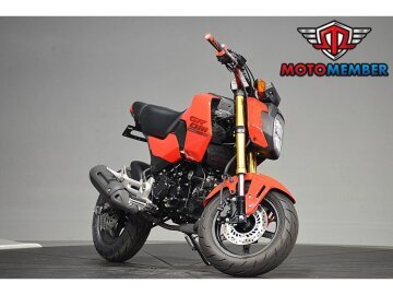 2025 Honda Grom