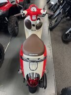 Thumbnail Photo 3 for New 2025 Honda Metropolitan