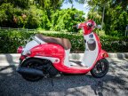 Thumbnail Photo 4 for New 2025 Honda Metropolitan