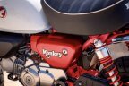 Thumbnail Photo 5 for New 2025 Honda Monkey ABS