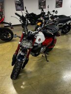 Thumbnail Photo 2 for New 2025 Honda Monkey ABS