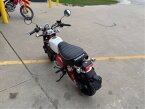 Thumbnail Photo 3 for New 2025 Honda Monkey ABS
