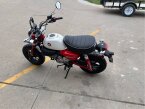 Thumbnail Photo 4 for New 2025 Honda Monkey ABS