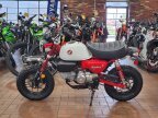 Thumbnail Photo 3 for New 2025 Honda Monkey ABS
