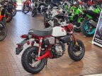 Thumbnail Photo 6 for New 2025 Honda Monkey ABS