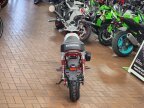 Thumbnail Photo 5 for New 2025 Honda Monkey ABS