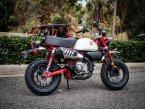 Thumbnail Photo 2 for New 2025 Honda Monkey ABS