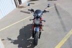 Thumbnail Photo 5 for New 2025 Honda Monkey ABS