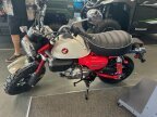 Thumbnail Photo 2 for New 2025 Honda Monkey ABS