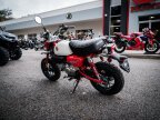 Thumbnail Photo 4 for New 2025 Honda Monkey ABS
