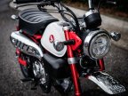 Thumbnail Photo 6 for New 2025 Honda Monkey ABS