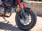 Thumbnail Photo 6 for New 2025 Honda Monkey ABS