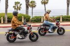 Thumbnail Photo 5 for New 2025 Honda Monkey ABS