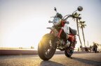 Thumbnail Photo 4 for New 2025 Honda Monkey ABS