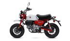 Thumbnail Photo 5 for New 2025 Honda Monkey ABS