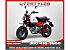 New 2025 Honda Monkey ABS
