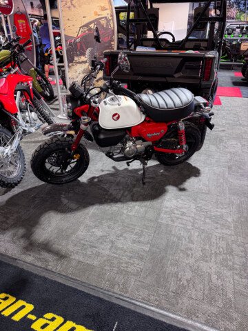 New 2025 Honda Monkey