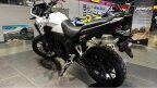 Thumbnail Photo 5 for New 2025 Honda NX500