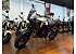 New 2025 Honda NX500