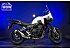 2025 Honda NX500