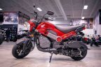 Thumbnail Photo 1 for New 2025 Honda Navi
