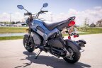 Thumbnail Photo 2 for New 2025 Honda Navi