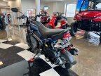 Thumbnail Photo 4 for New 2025 Honda Navi