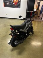 Thumbnail Photo 5 for New 2025 Honda Navi