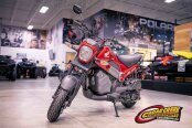 New 2025 Honda Navi