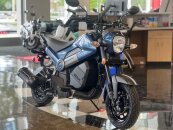 New 2025 Honda Navi