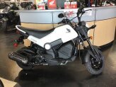 New 2025 Honda Navi