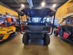 Thumbnail Photo 4 for New 2025 Honda Pioneer 1000 5 Trail Special Edition